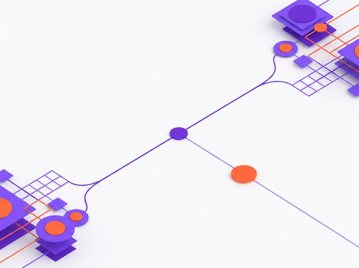 Three paths drawn as simple branching lines: fix the process, subscribe, or build custom software